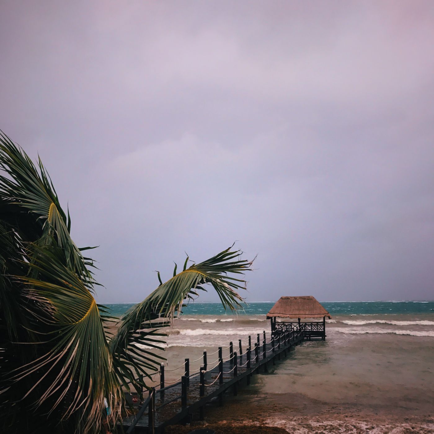 a pier under palms