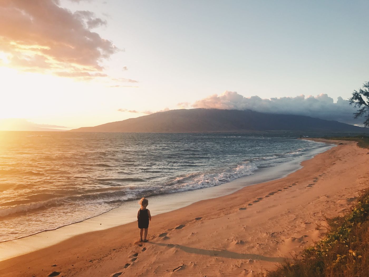 a beach walker at sunset